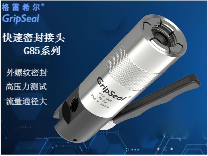 格雷希爾GripSeal液壓閥門(mén)專(zhuān)用密封測(cè)試接頭 格雷希爾GripSeal液壓閥門(mén)專(zhuān)用密封測(cè)試接頭